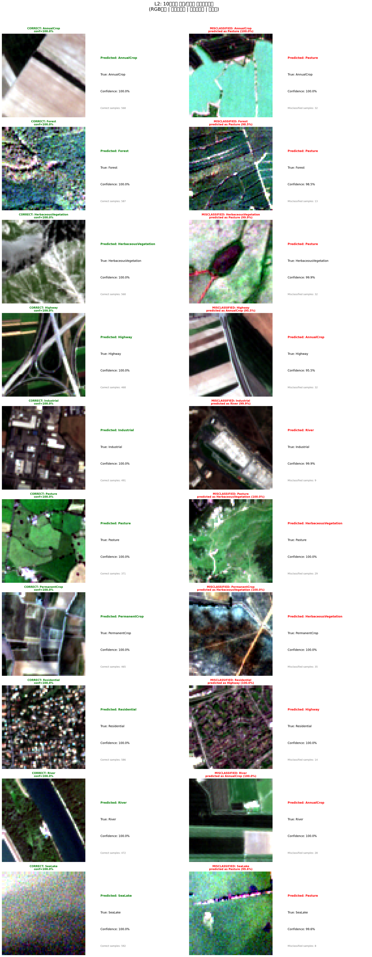 L2 correct vs misclassified