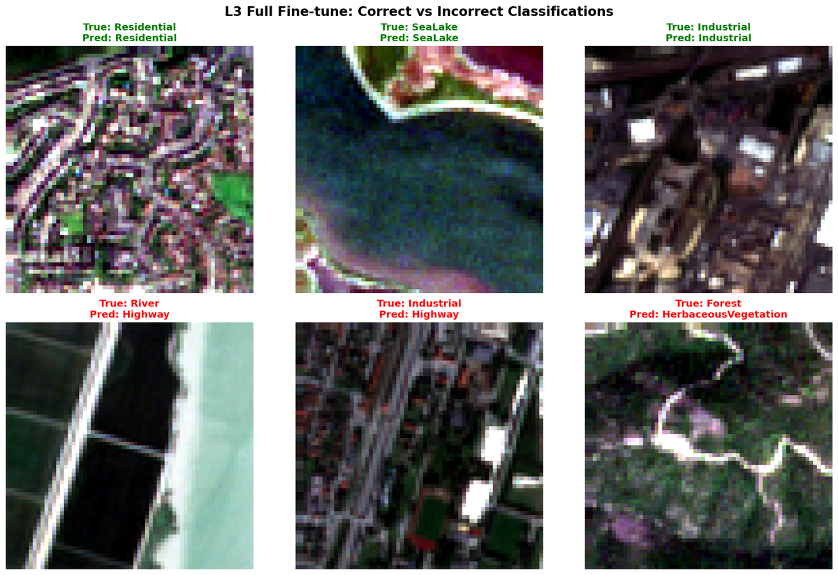 L3 correct vs incorrect