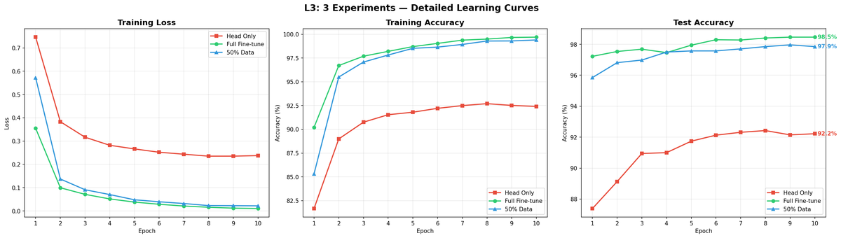 L3 detailed learning curves