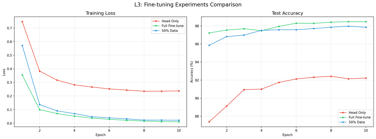 L3 learning curves