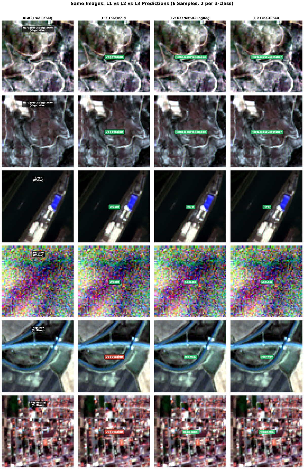 comparison 6samples L1L2L3