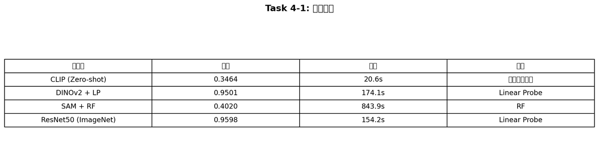 4-1 foundation models summary